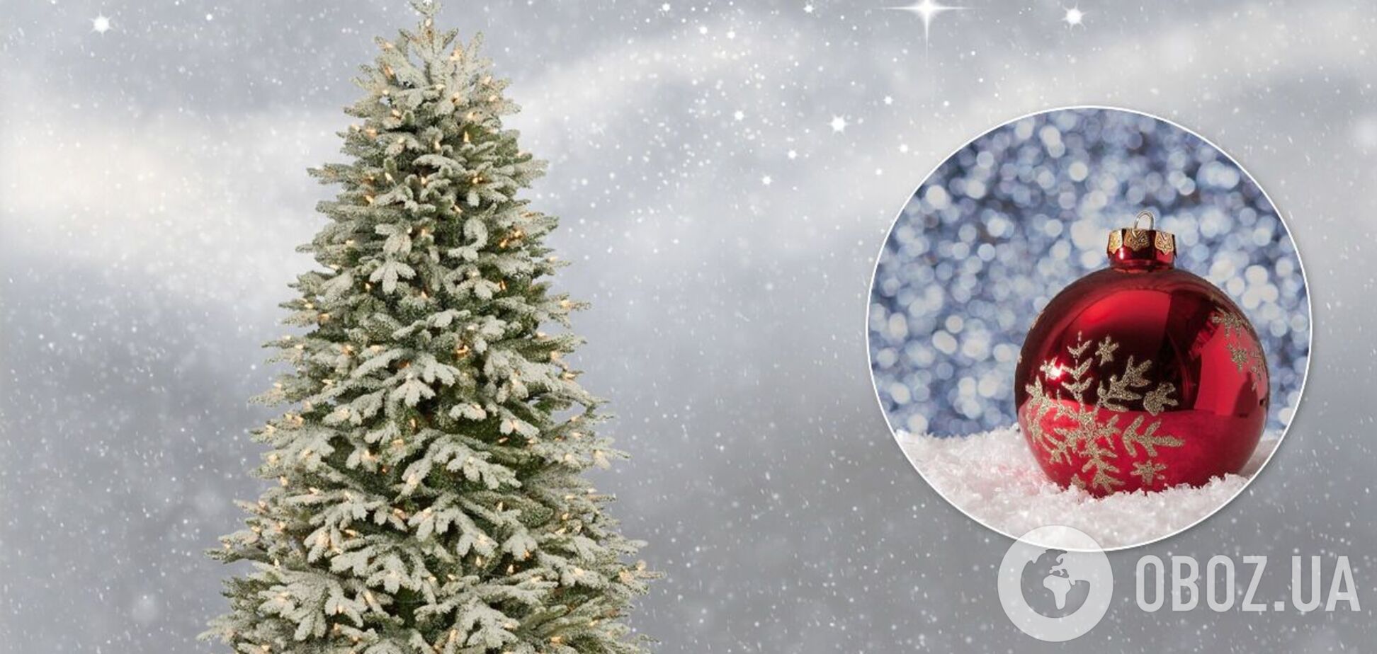 Лесхозы Украины к Новому году планируют продать более 500 тысяч елок