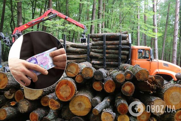 В Украине лесхозы из-за коррупции теряют миллионы. ТОП-10 схем