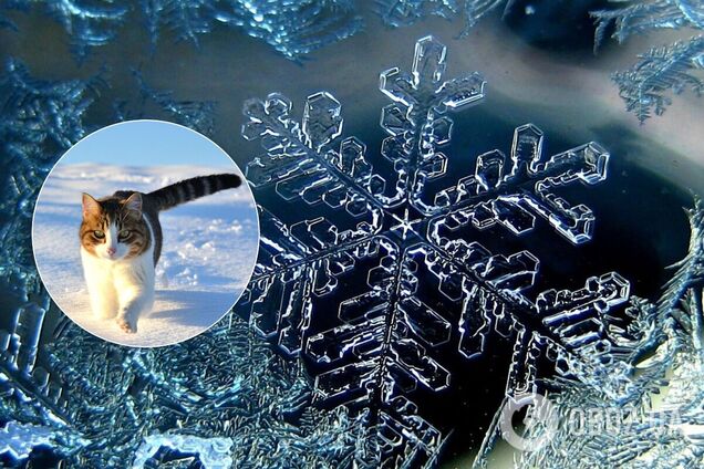 Прогноз погоды в Украине на январь: народный синоптик назвал даты морозов и снега