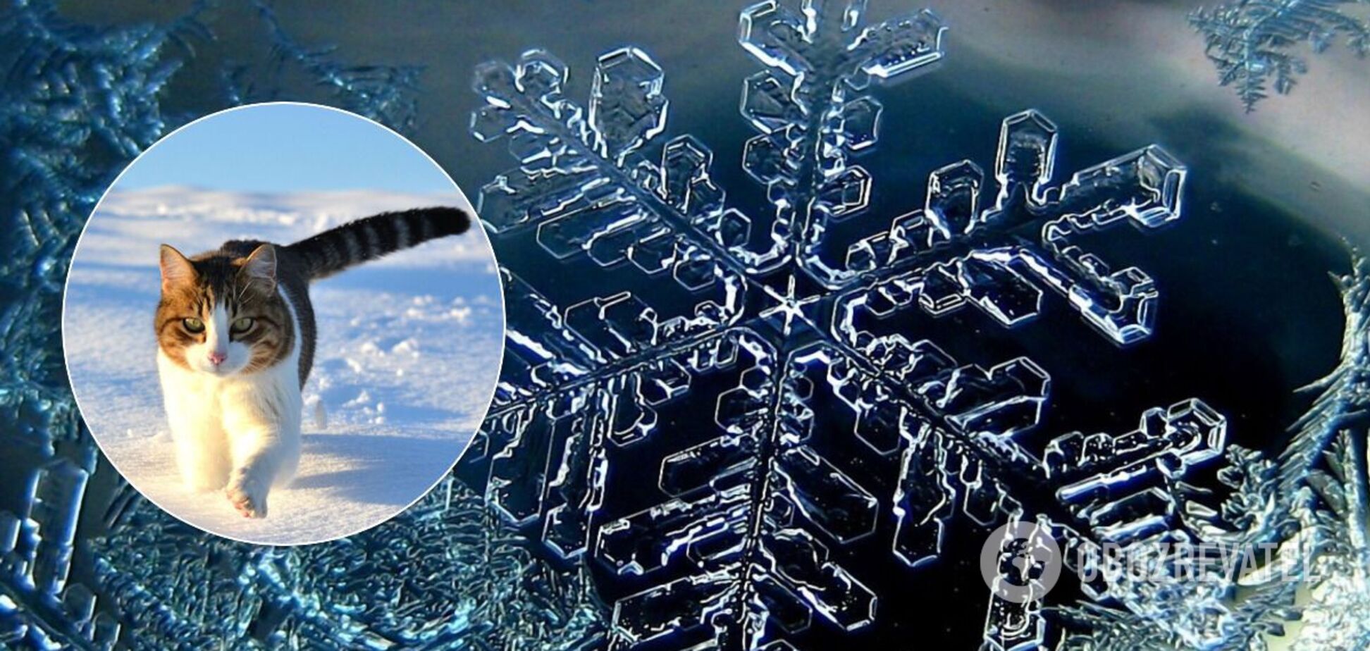 Прогноз погоди в Україні на січень: народний синоптик назвав дати морозів і снігу