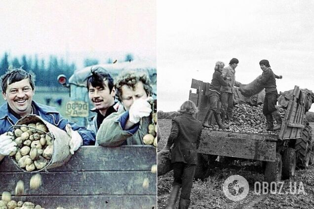 Сбор картофеля в СССР, 1986 год