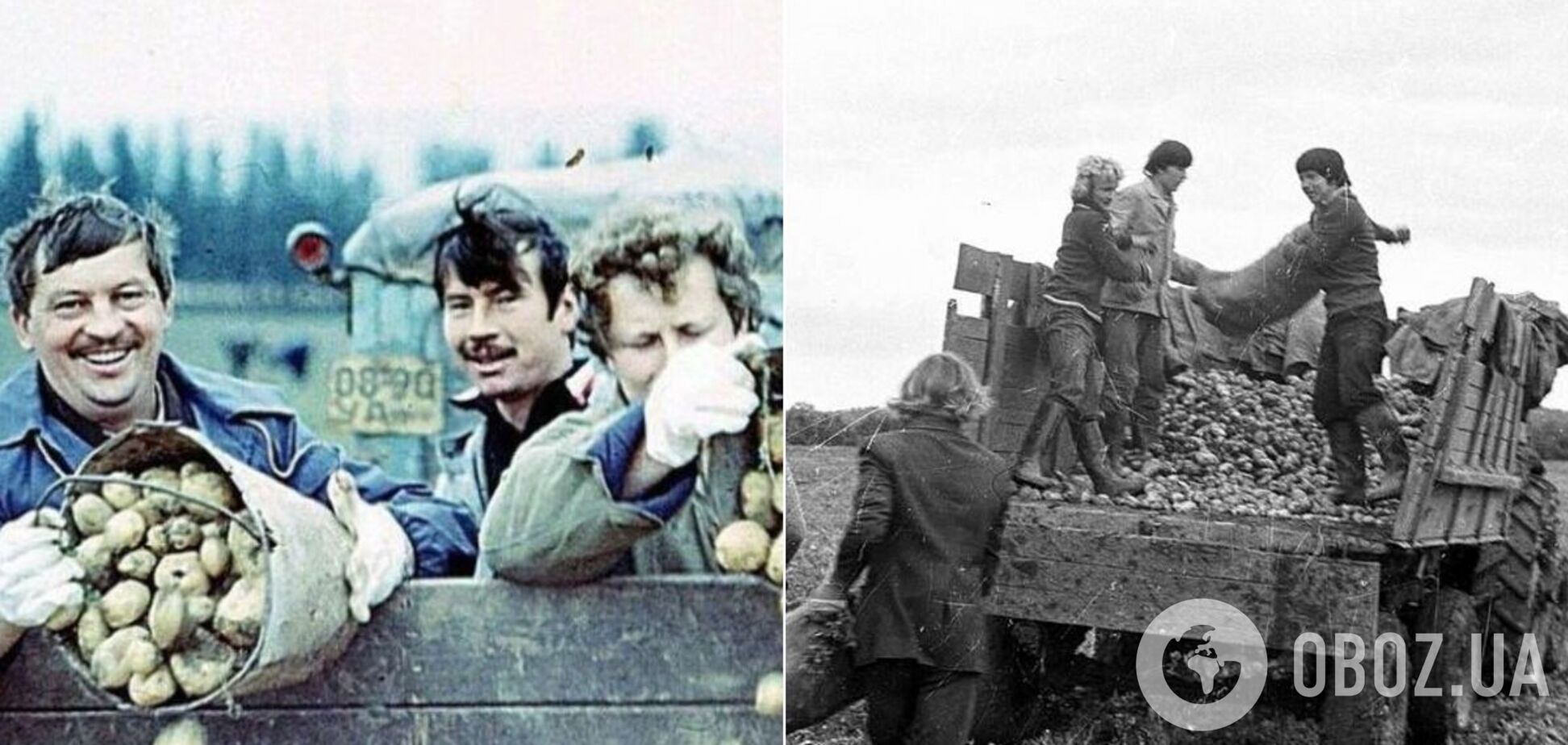 Збір картоплі в СРСР, 1986 рік