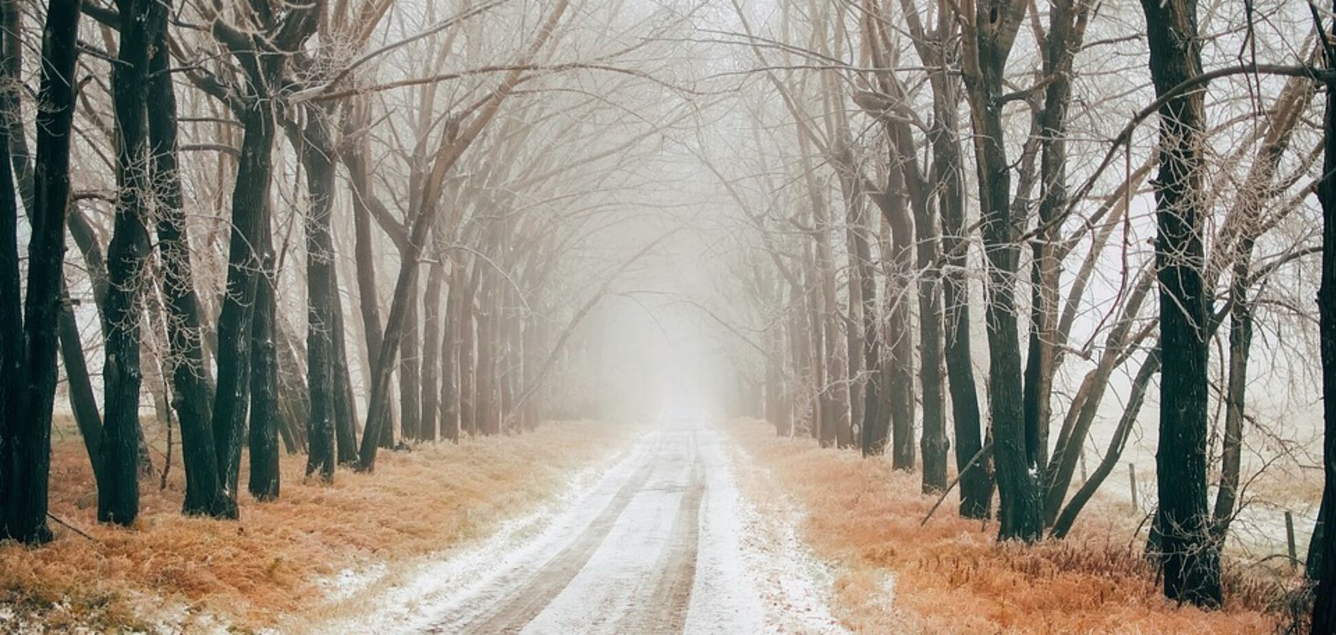 В Украине наблюдаются заморозки