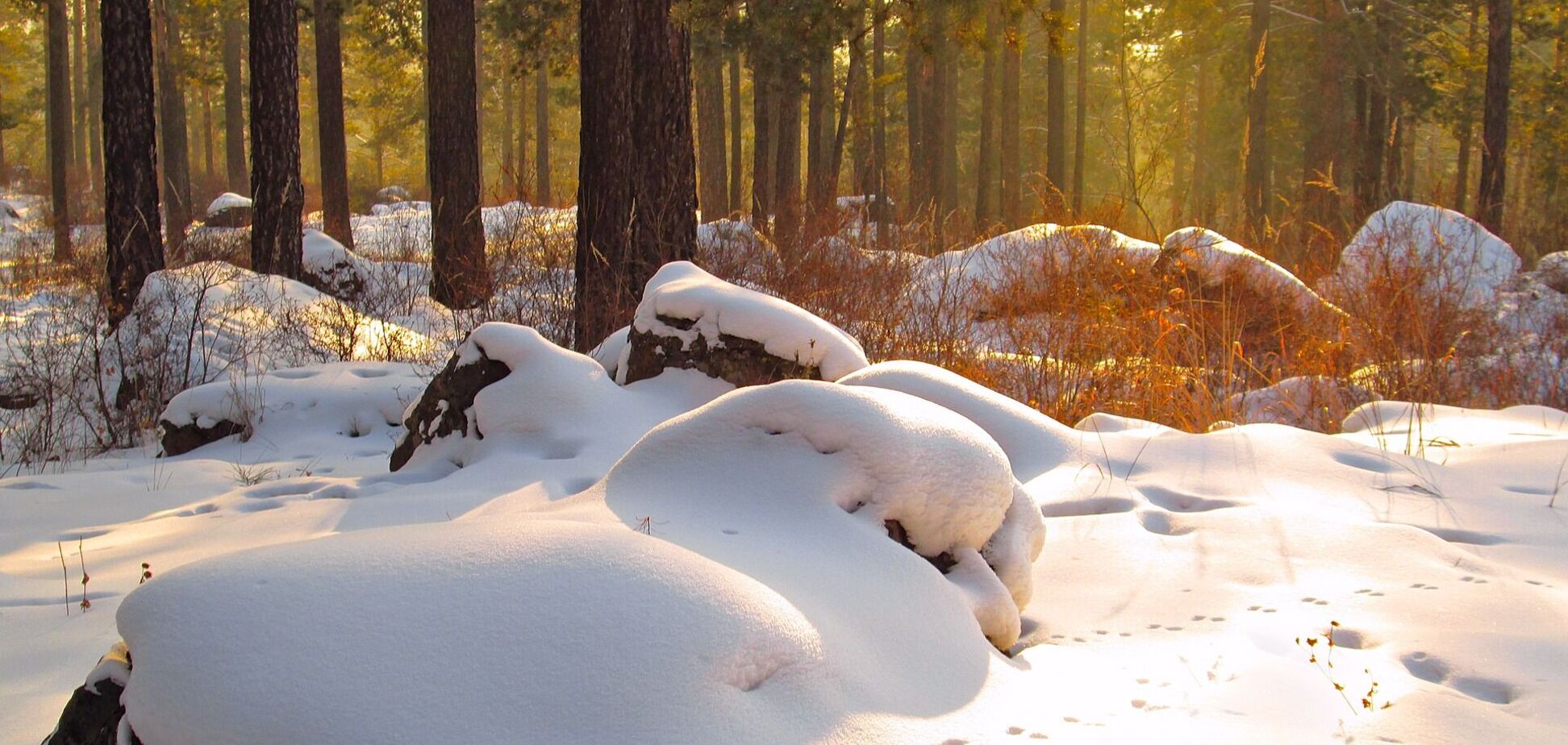 Что отмечают 3 декабря