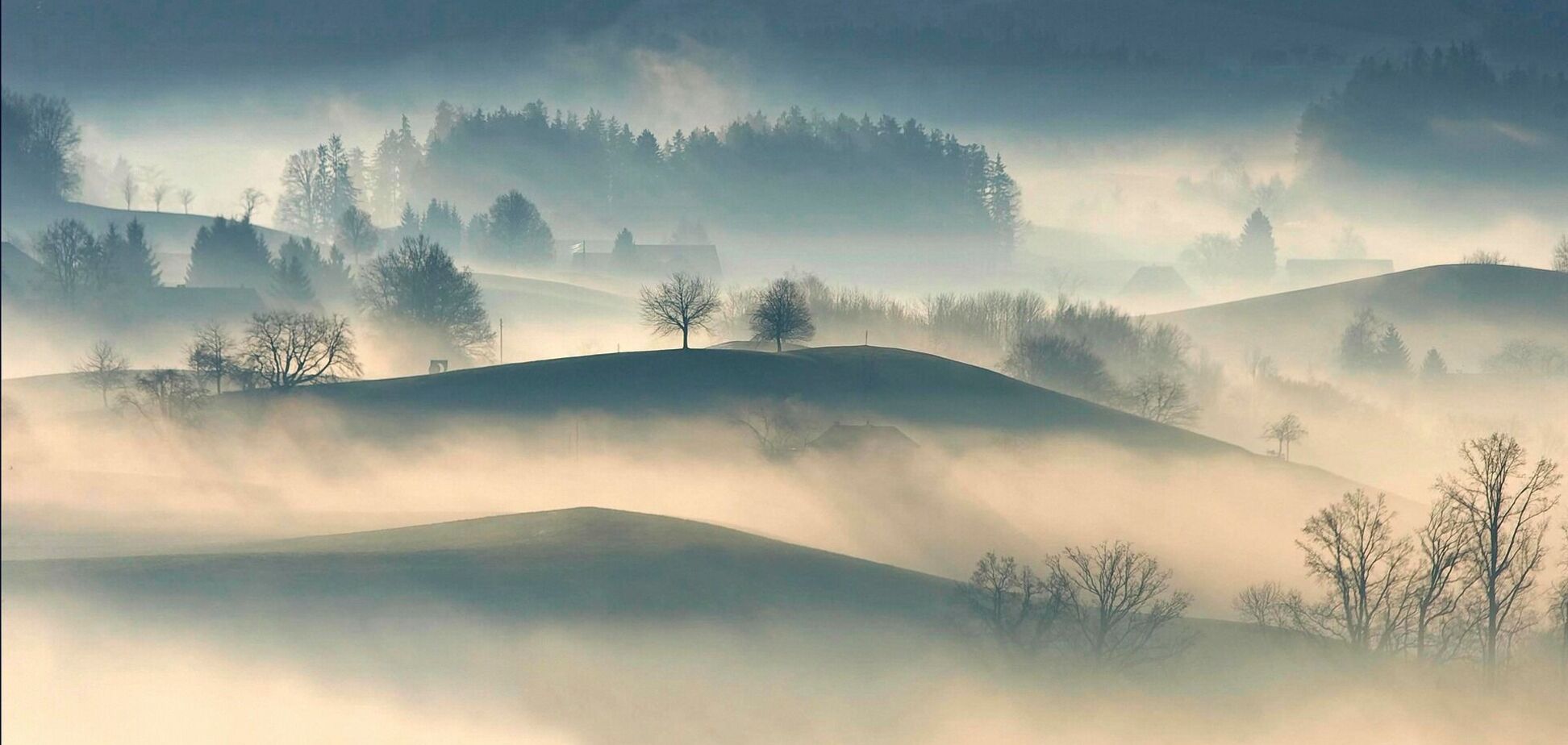 По всей Украине в понедельник спрогнозировали туманы