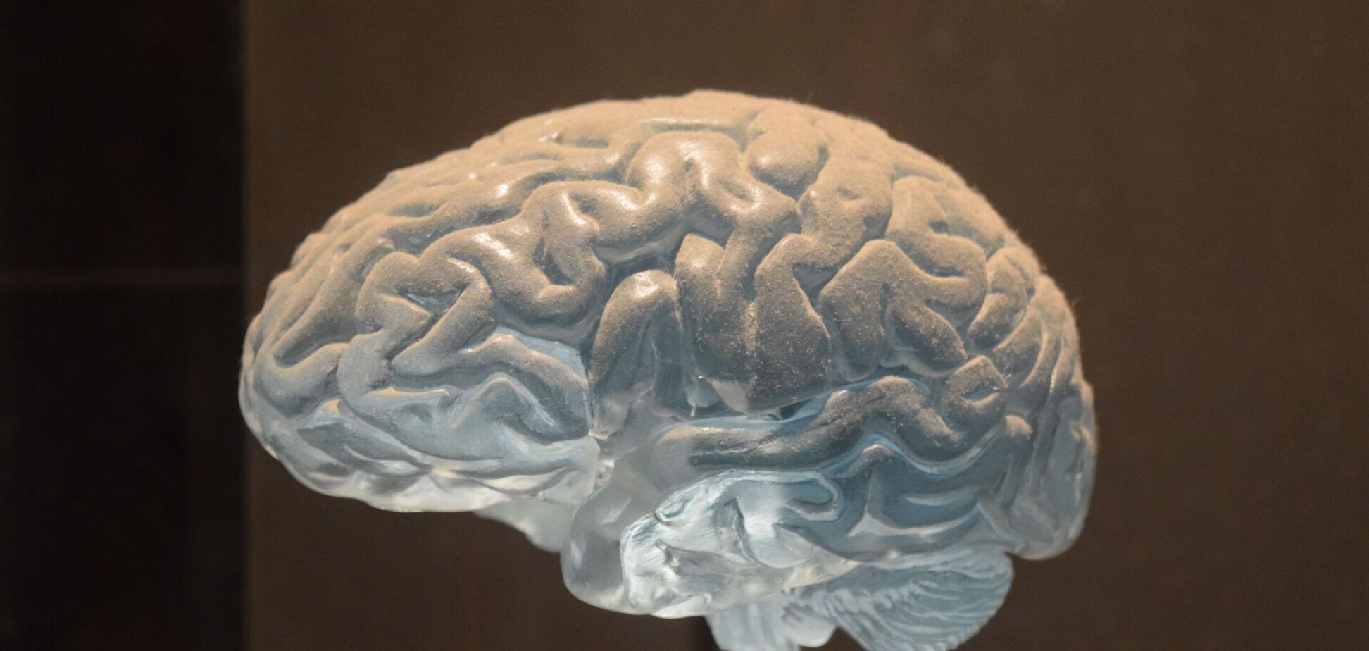 Вчені досліджували пацієнтів з неврологічними розладами