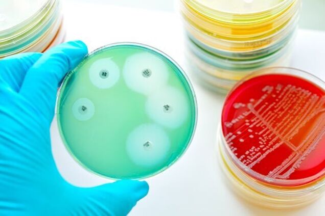 Ученые нашли новые эффективные антибиотики против устойчивых бактерий