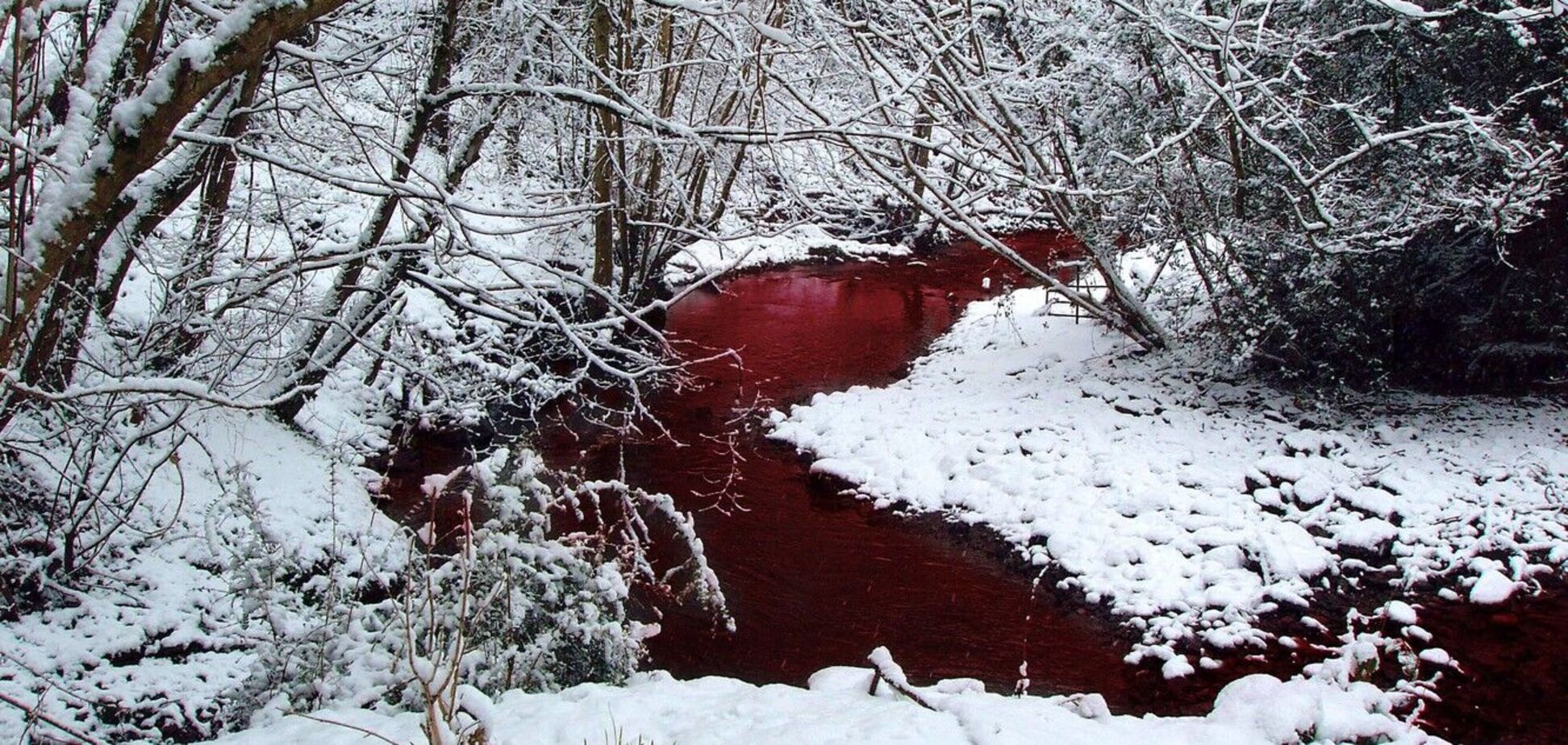 В Карелии нашли реку из крови и рыбьего жира