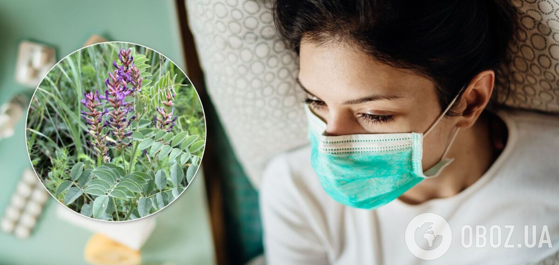 Президента Туркменистана высмеяли за идею лечить COVID-19 корнем солодки