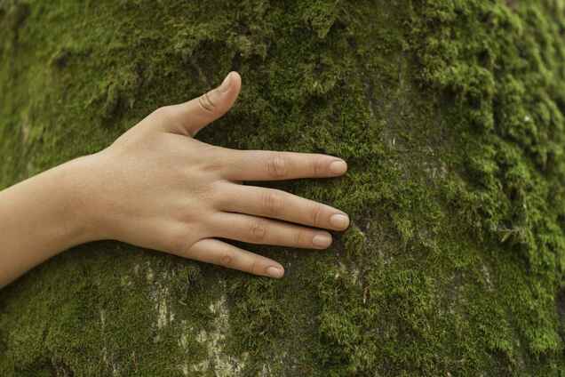 Yves Rocher 2020 року відзначилася екоініціативами