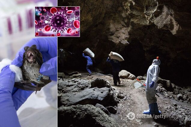 Китай звинуватили у приховуванні інформації про походження COVID-19