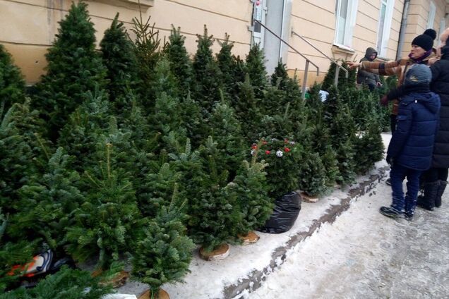 Головну новорічну ялинку у Вінниці встановлювати не будуть