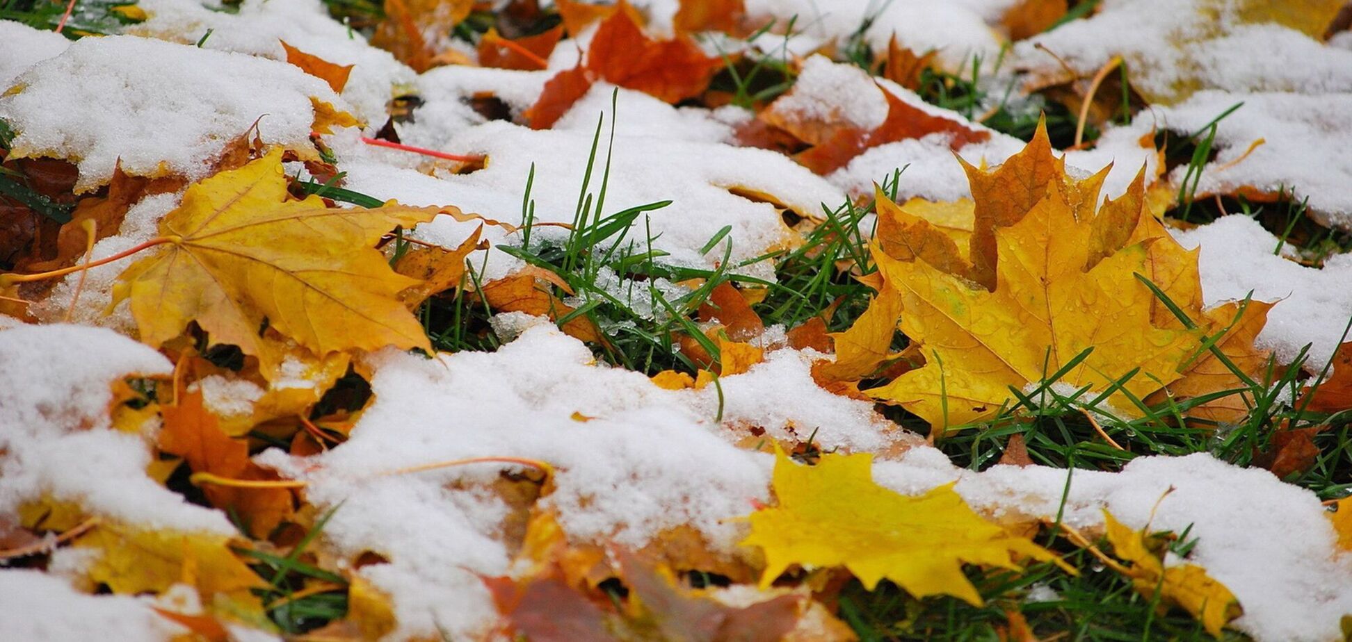 Что отмечают 6 декабря