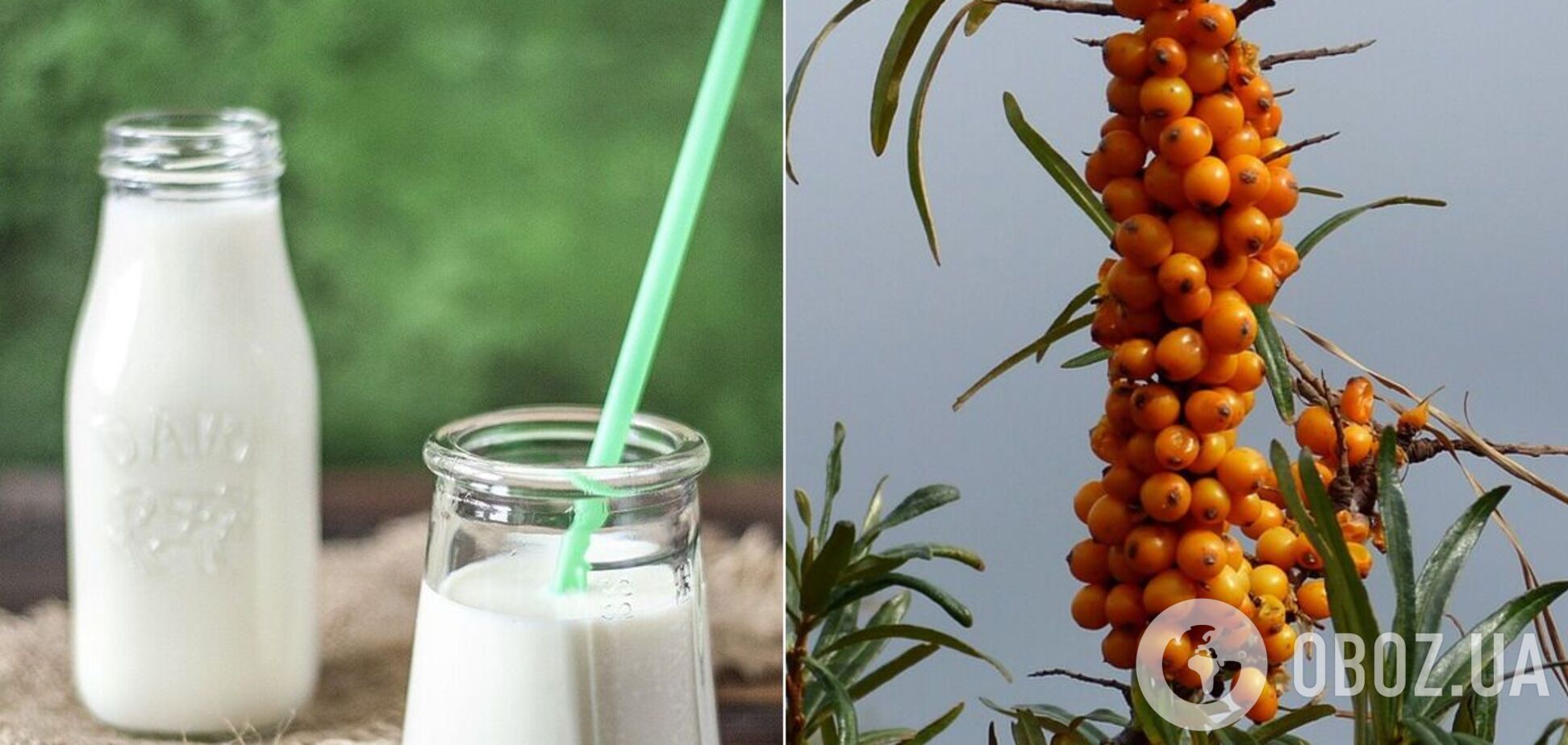 Суперфуды из детства: названы топ-7 полезных продуктов