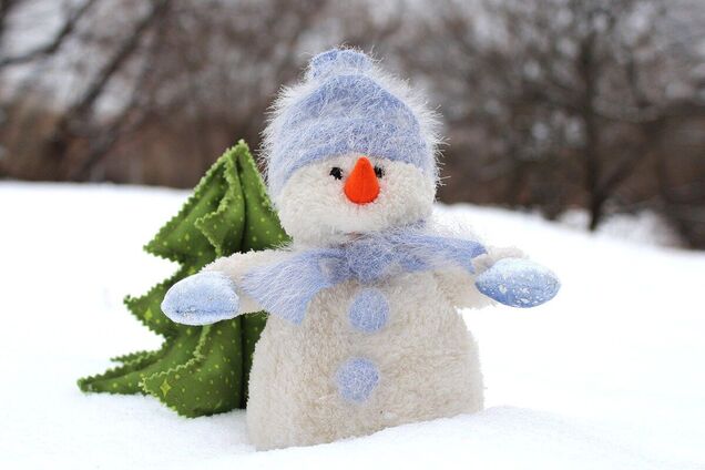 Новий рік в Україні буде без морозів і снігу, – синоптик