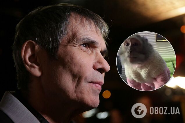 В передозировке Алибасова 'Виагрой' обвинили обезьяну: как это произошло. Видео