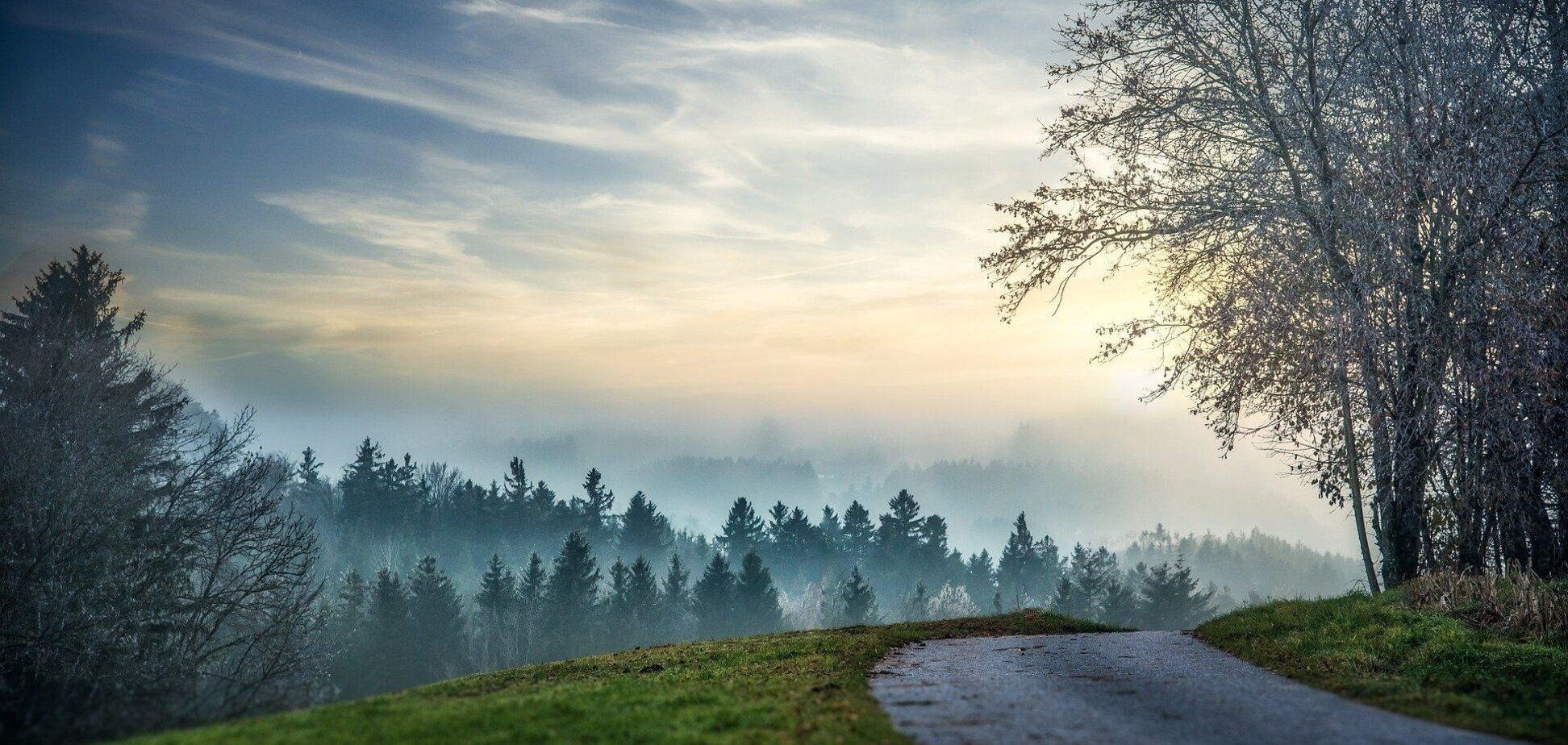 Что отмечают 10 декабря