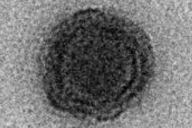 Гены неизвестны науке: ученые обнаружили новый загадочный вирус