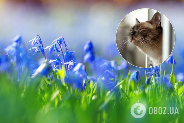 До +15! В Украину идет резкое потепление: Гидрометцентр назвал дату