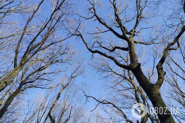 Погода в Одесі