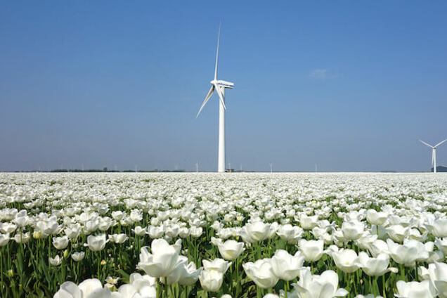 В Італії створять відразу кілька масштабних електростанцій на енергії вітру