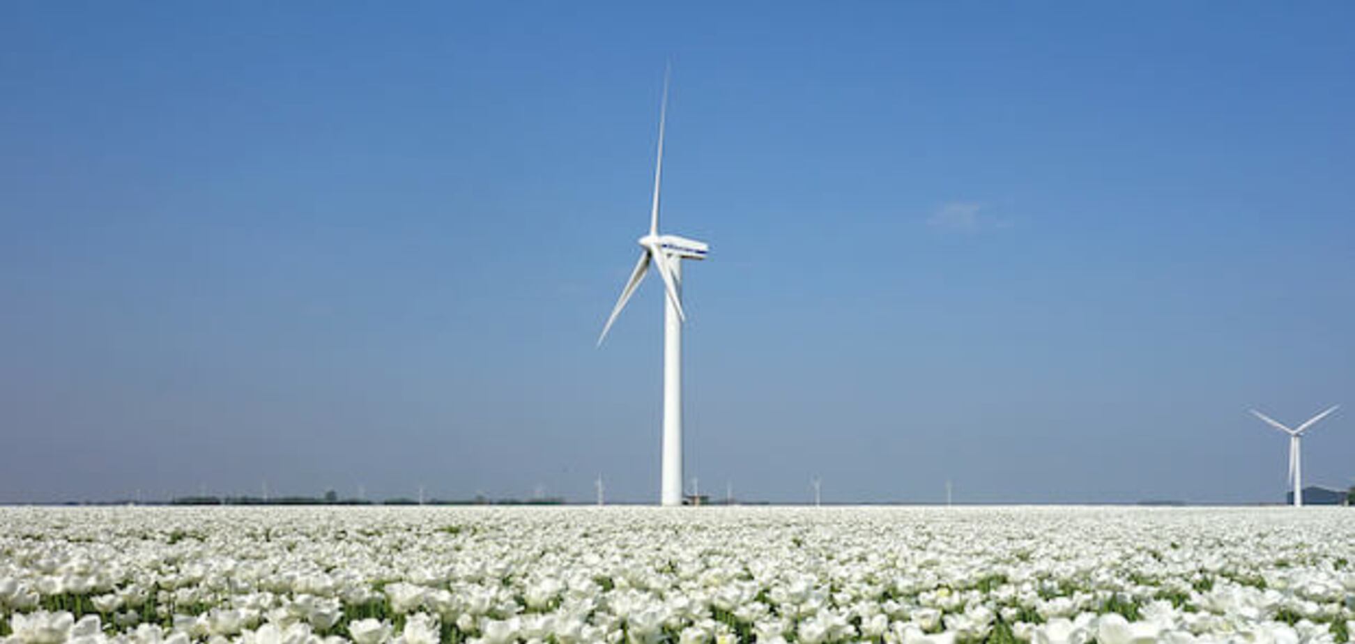 В Італії створять відразу кілька масштабних електростанцій на енергії вітру