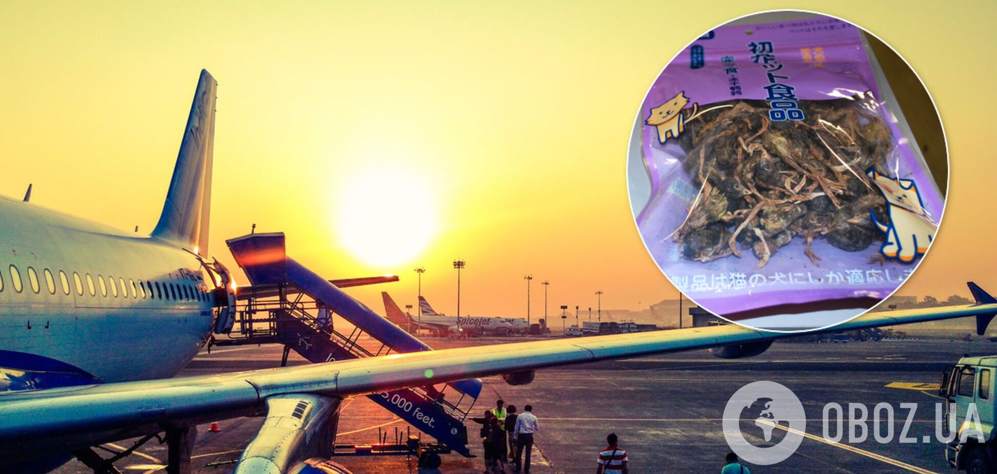 Гражданин Китая пытался провезти в США жуткий багаж: фото