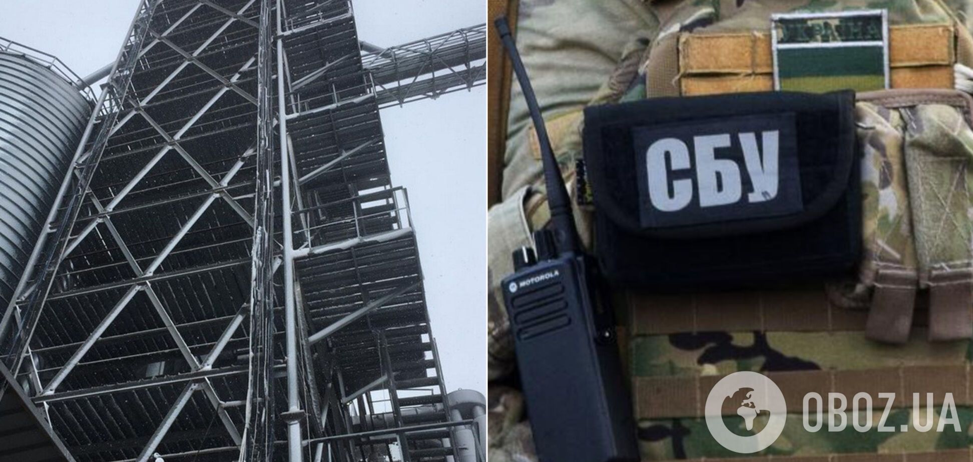 Фиктивные документы и антисанитария: СБУ разоблачила нелегальную схему экспорта зерна