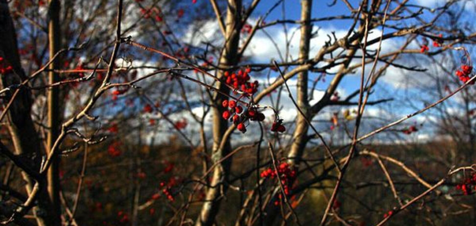 Пройдут дожди: синоптик уточнила прогноз погоды на выходные