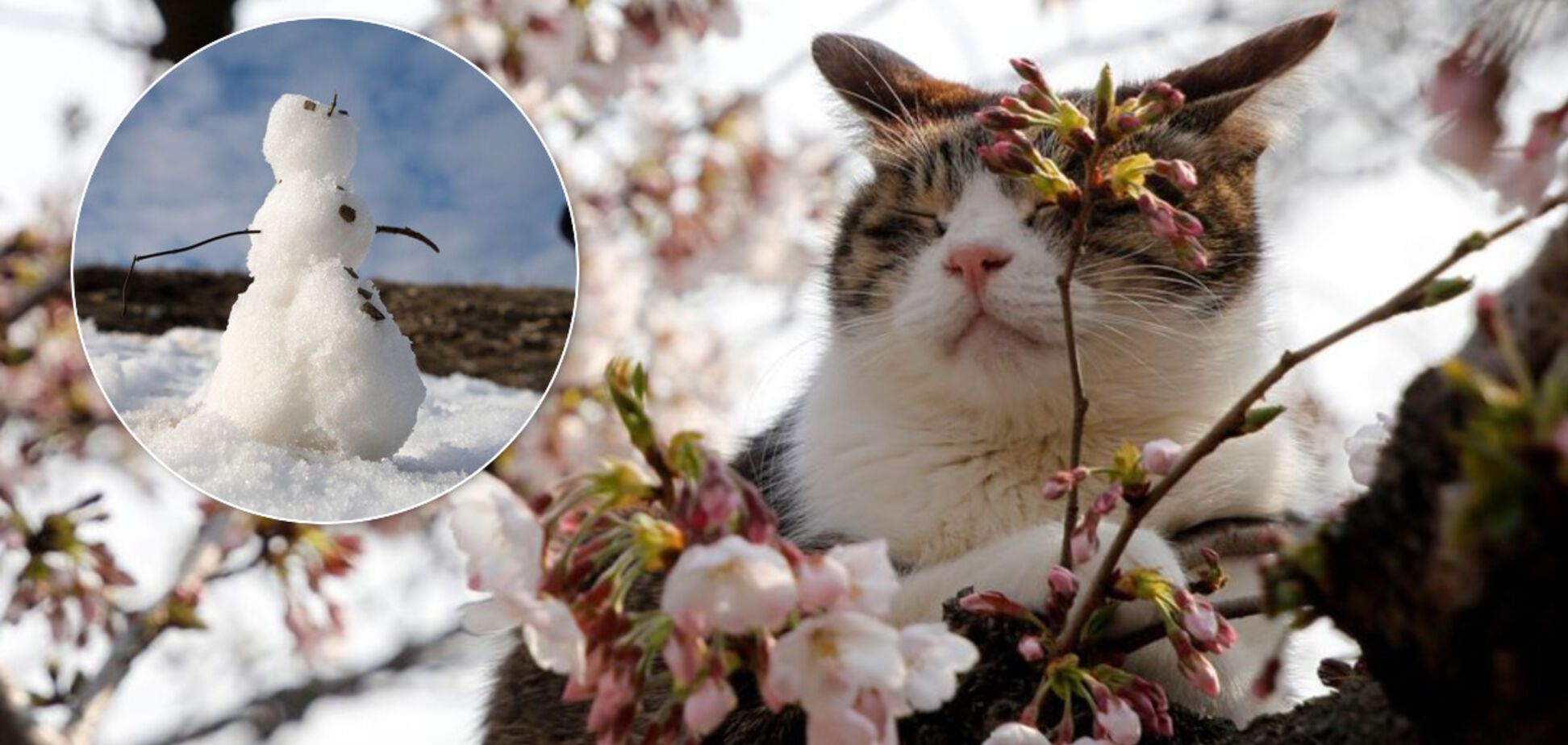 Украину ждет аномальное потепление: синоптики озвучили неожиданный прогноз