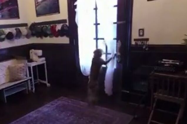 Не стримувала емоцій: відео зустрічі астронавтки й собаки зворушило мережу. Дивовижні кадри