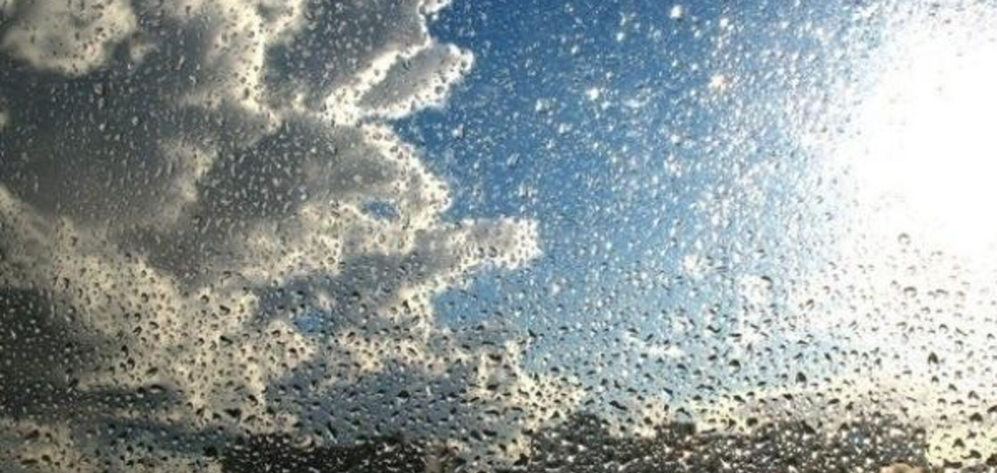 В Украину идет настоящая весна с дождями: какие регионы под ударом