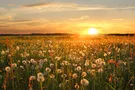 Народний земельний референдум: продовжуємо діяти
