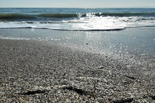 Літо в лютому: з'явилося яскраве відео з пляжу в Одесі
