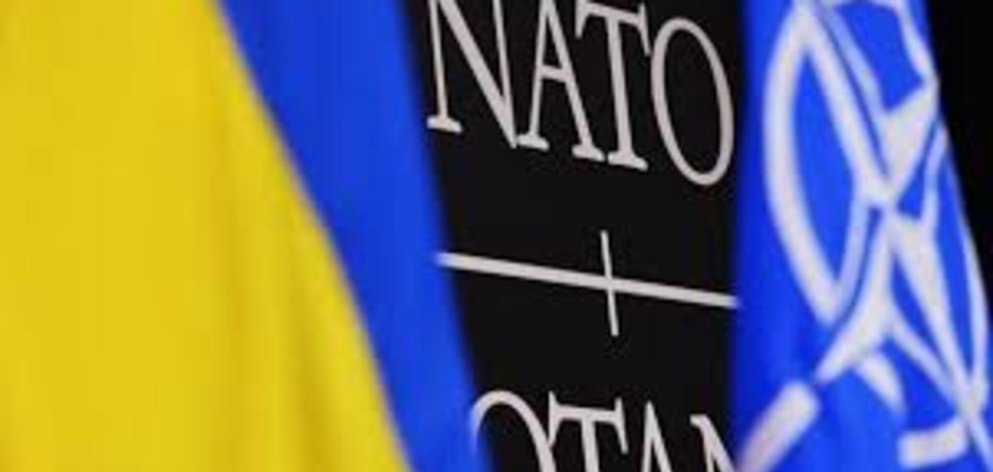 Украина – НАТО