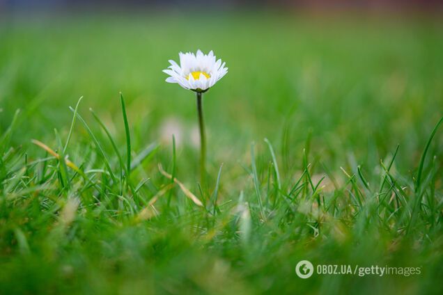 Потеплеет до +10: синоптик порадовала прогнозом погоды в Украине