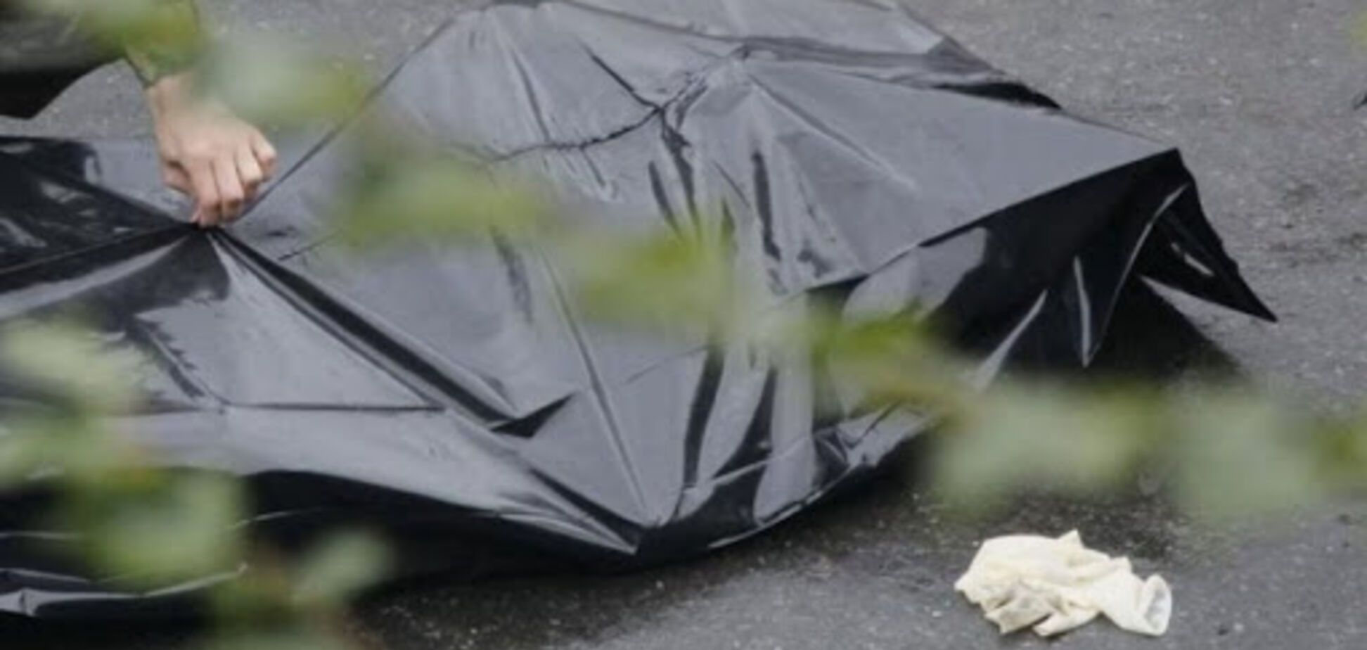 Без голови й кінцівок: у Кривому Розі в ставку виловили тіло жінки. Фото 18+