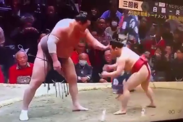 Гігантського сумоїста покарав крихітний суперник за понти перед боєм