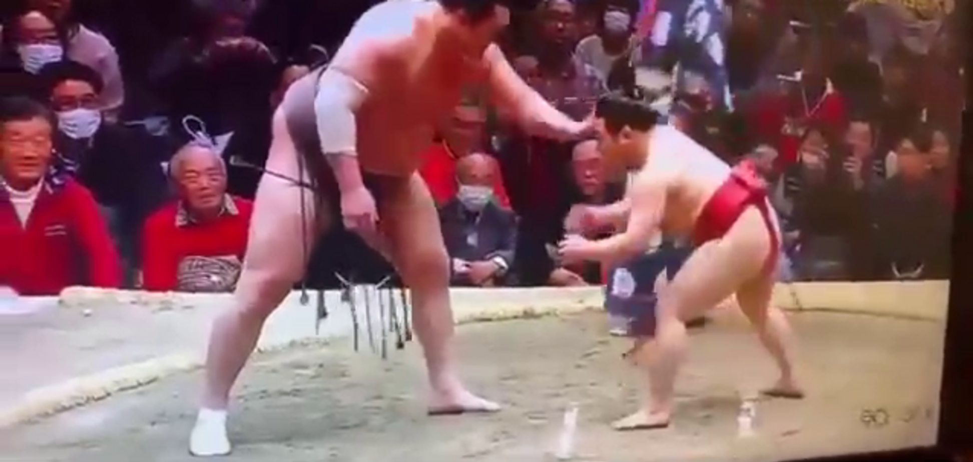 Гігантського сумоїста покарав крихітний суперник за понти перед боєм