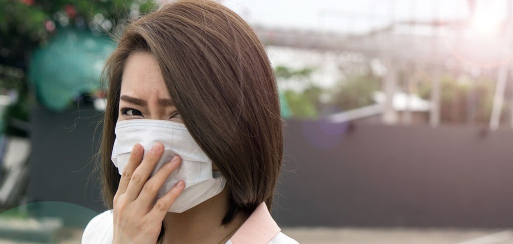 В Туркменистане убивают кошек из-за коронавируса