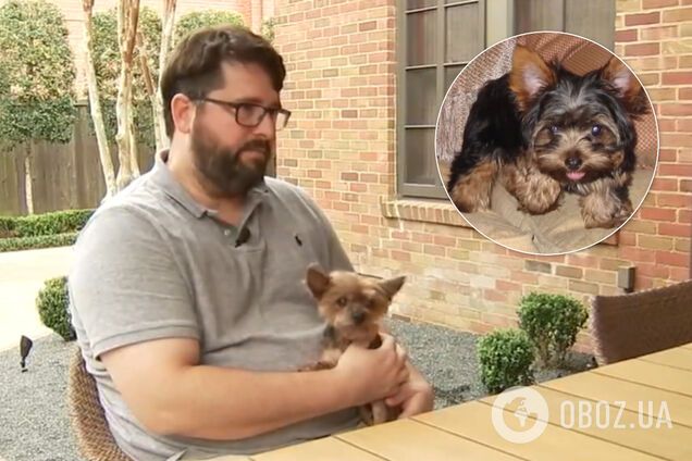Пропавший пес вернулся домой спустя 14 лет: встреча с хозяином растрогала сеть