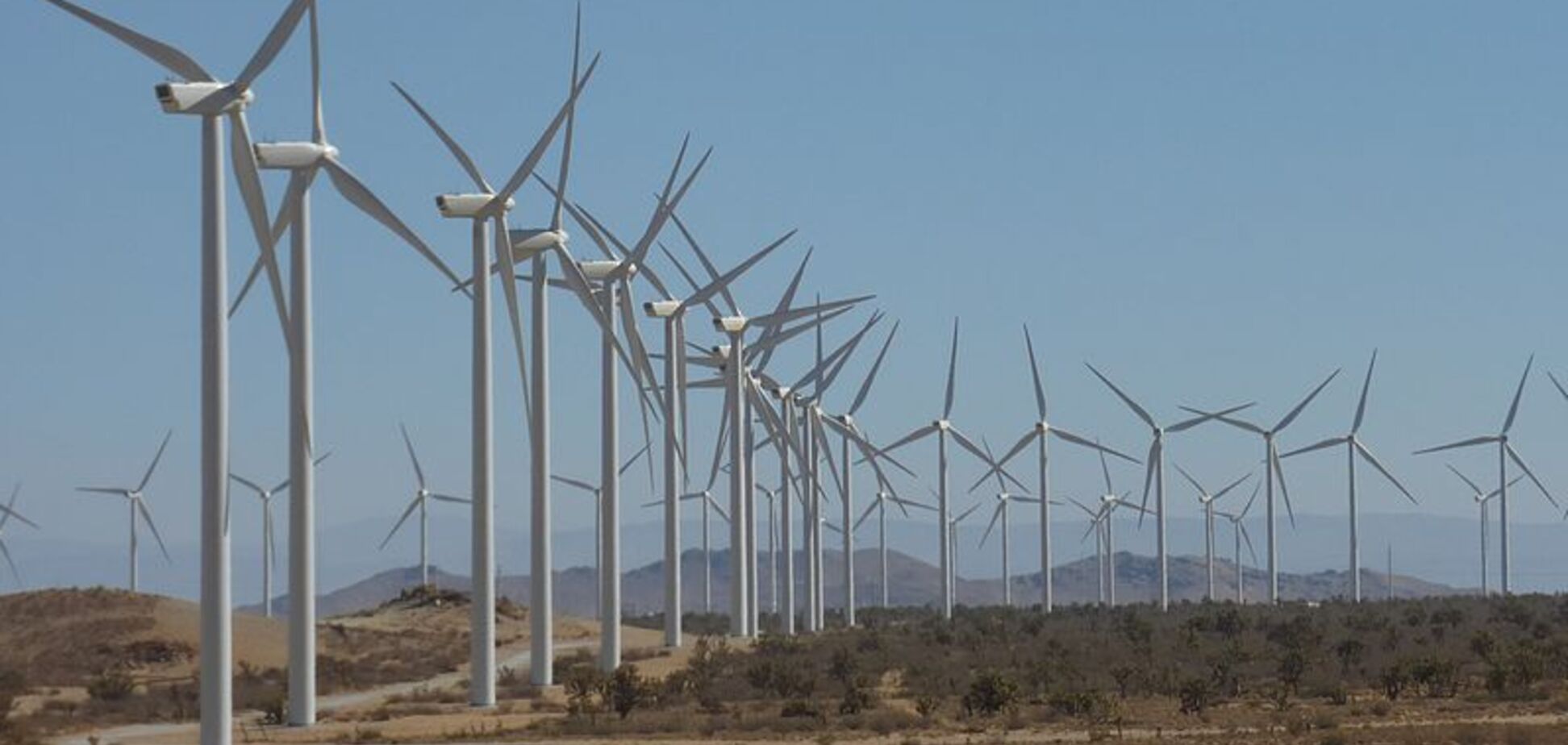 Індія несподівано вирішила стати лідером у галузі 'зеленої' енергетики: озвучено план уряду