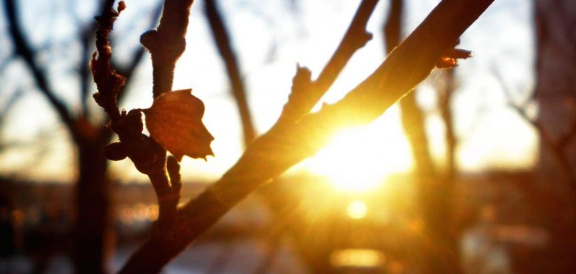 Тепло и солнечно: синоптики дали точный прогноз погоды в Украине
