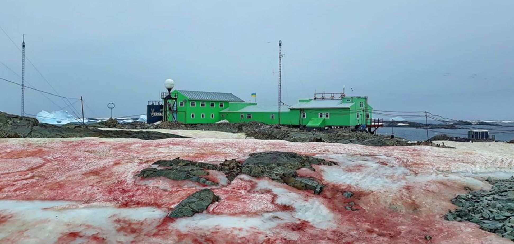 Украинскую антарктическую станцию окружил 'кровавый снег': пугающие фото