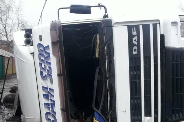 На Харьковщине перевернулась фура со свиньями: 'пассажиры' разбежались. Видео масштабного ДТП