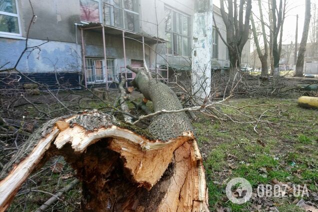 Ураган наробив біди в Одеській області: що сталося