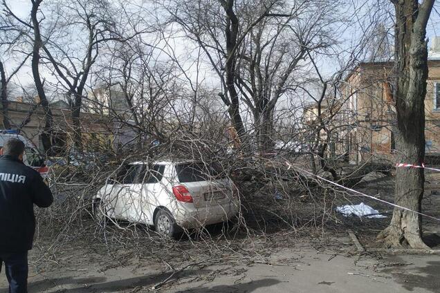 Упавшее дерево убило женщину в центре Одессы