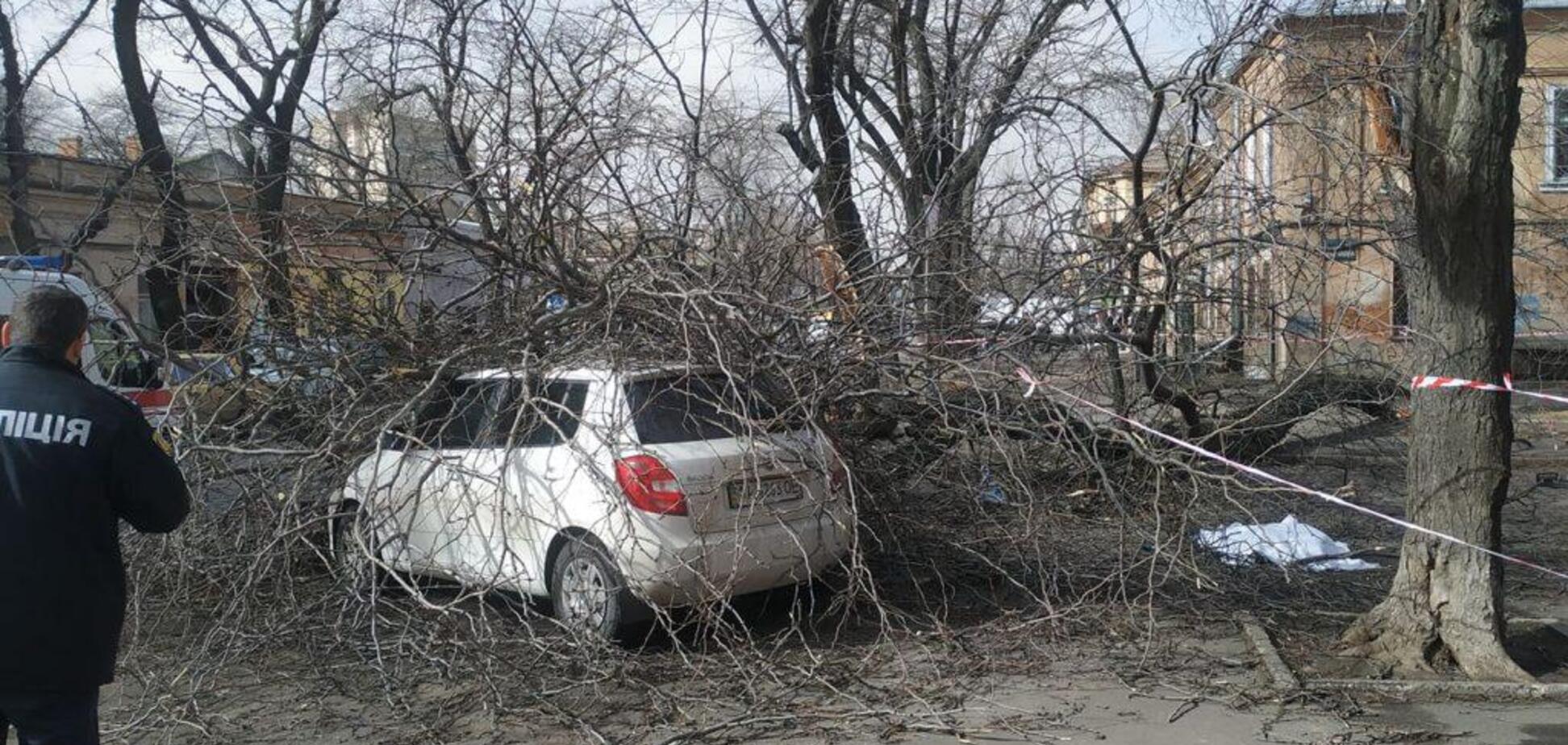 Дерево, що впало, вбило жінку у центрі Одеси