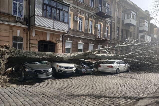 Погодный армагеддон в Одессе: все подробности и фото разрушений