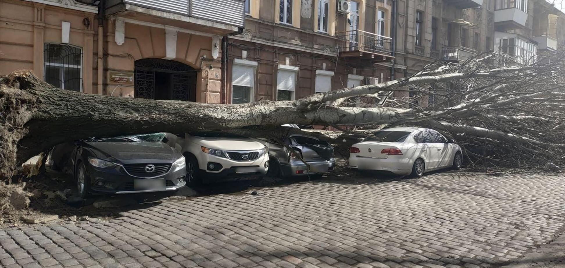 Наслідки урагану в Одесі